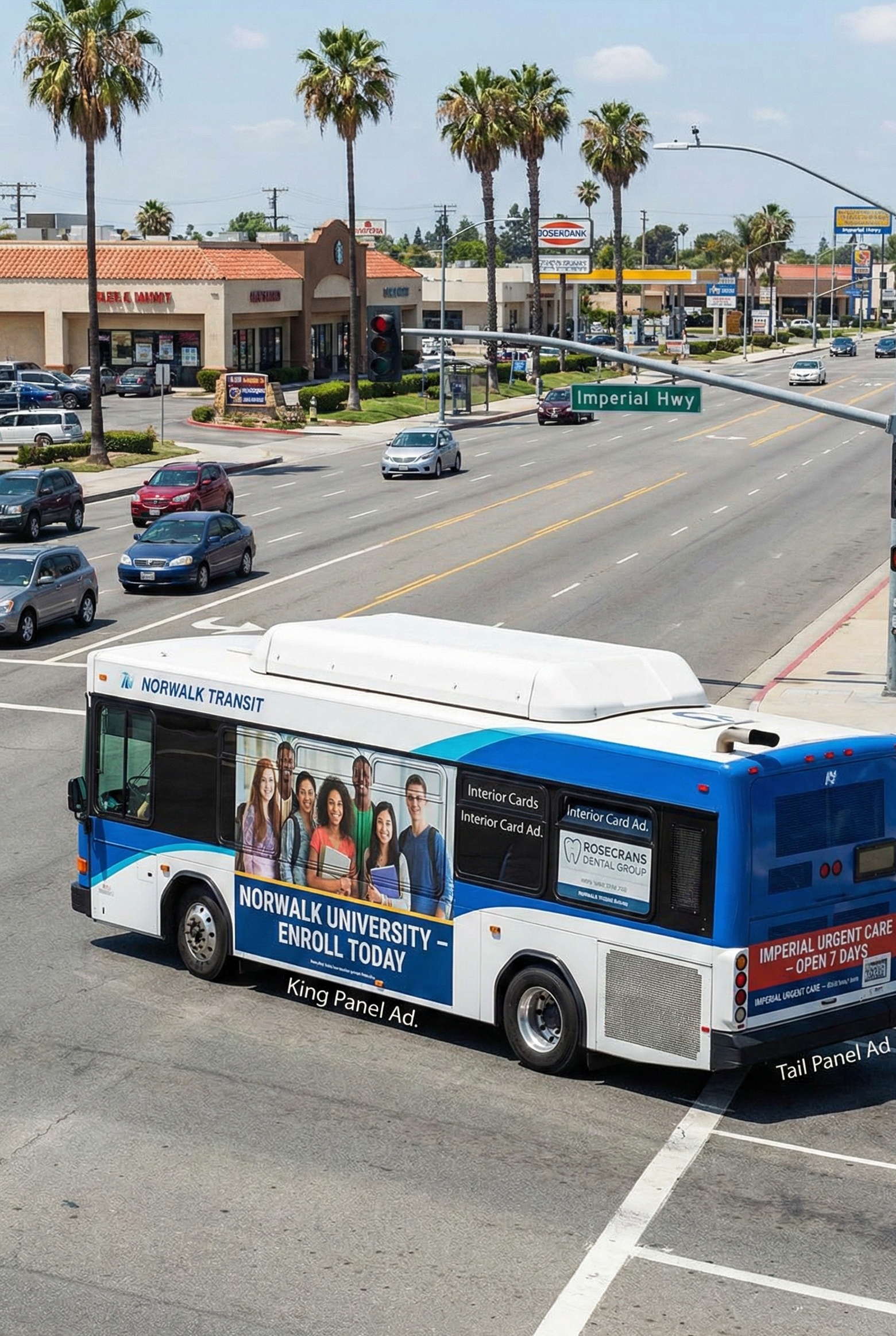 Divi-Image-Hover-Hero-Image-5